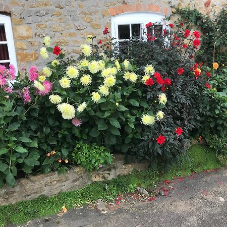 The Cottage Abbotsbury Esterno foto
