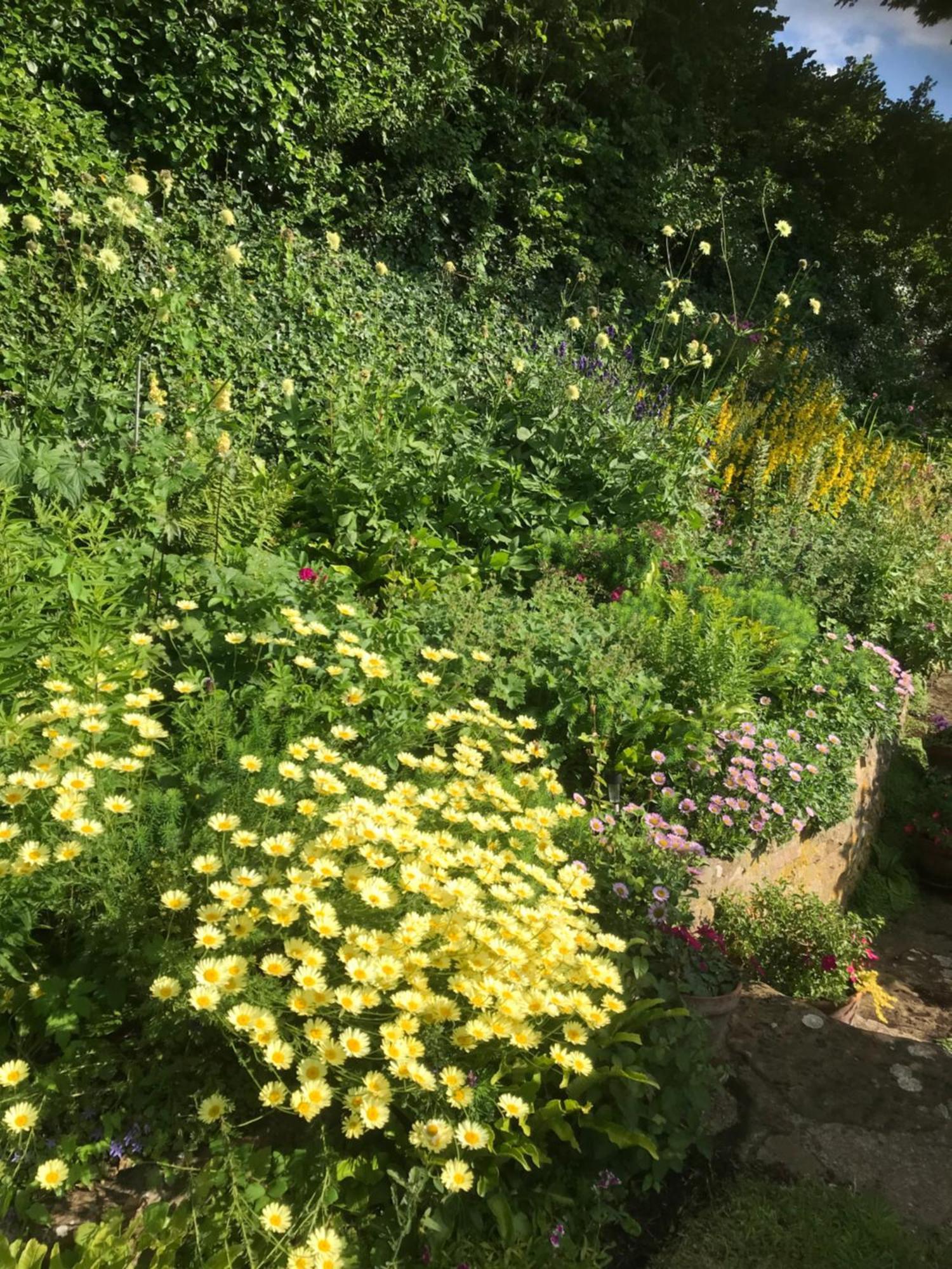 The Cottage Abbotsbury Esterno foto