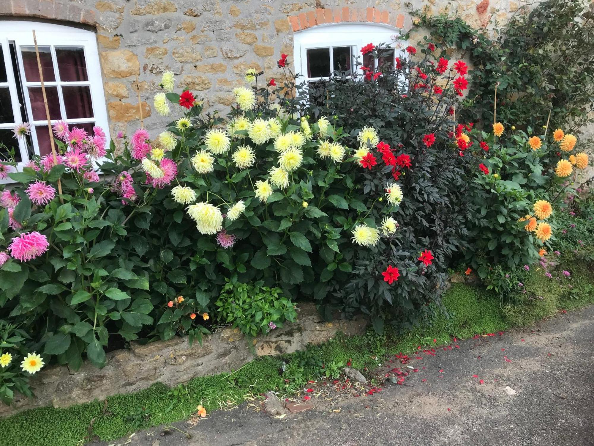 The Cottage Abbotsbury Esterno foto
