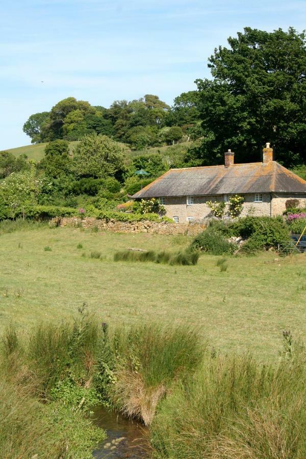 The Cottage Abbotsbury Esterno foto