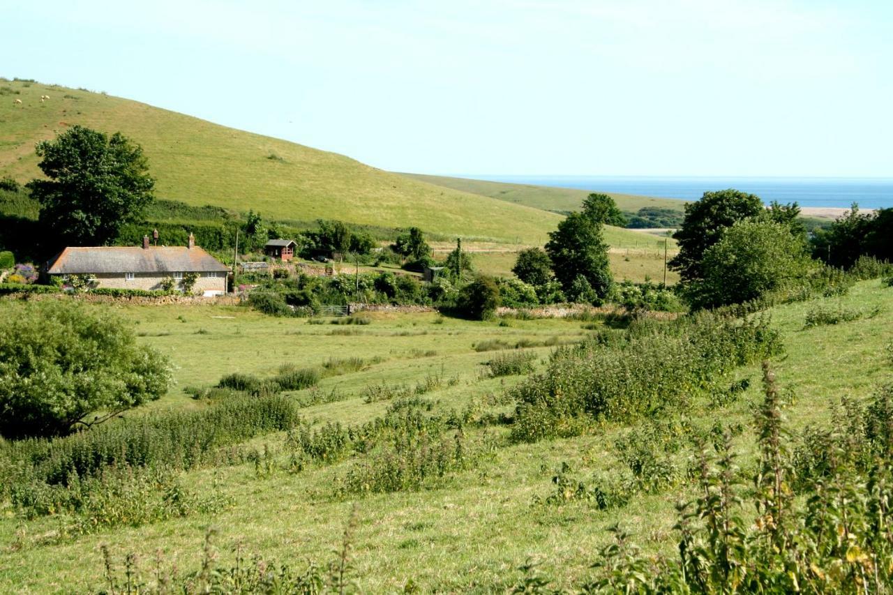 The Cottage Abbotsbury Esterno foto