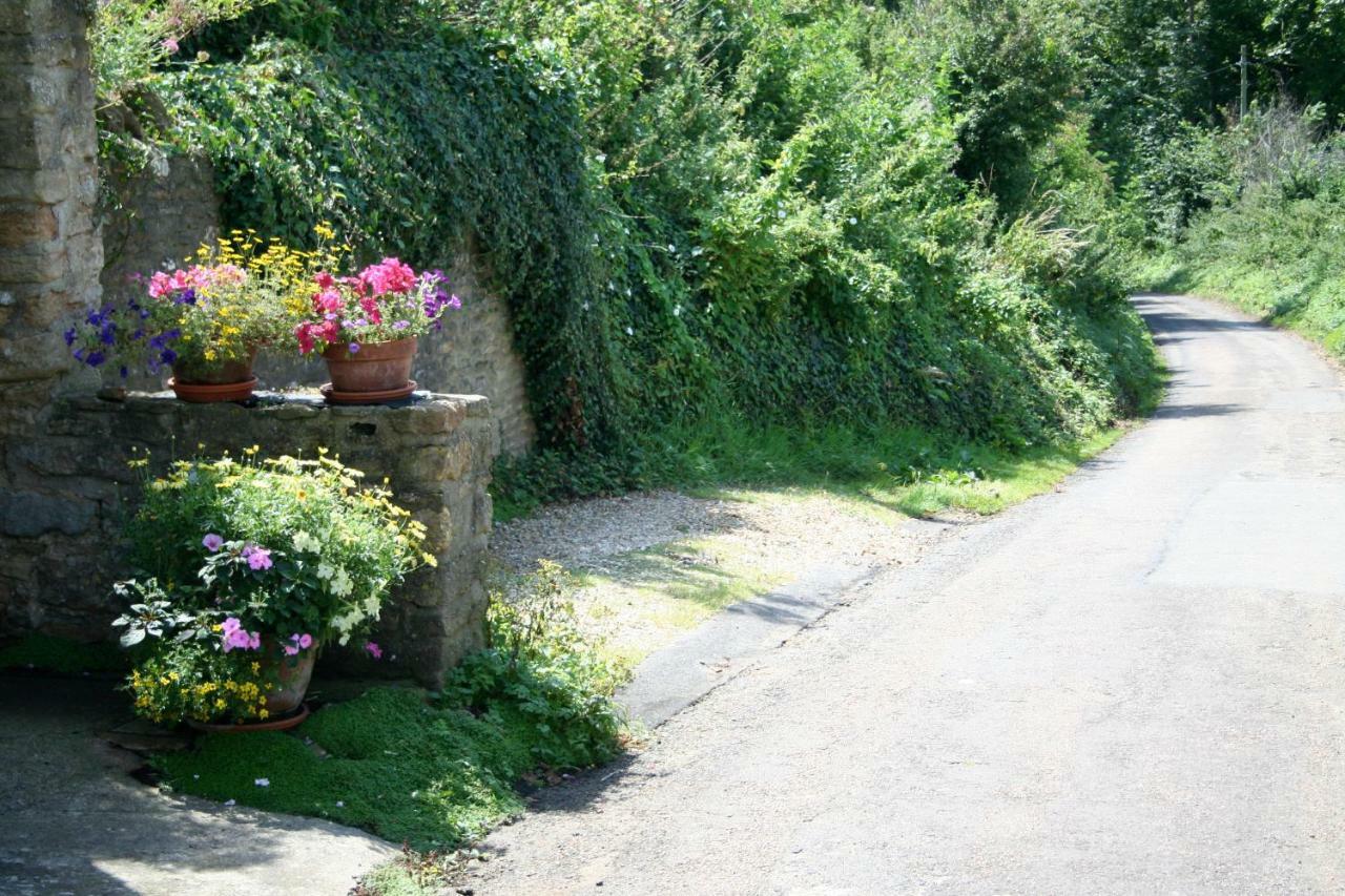 The Cottage Abbotsbury Esterno foto