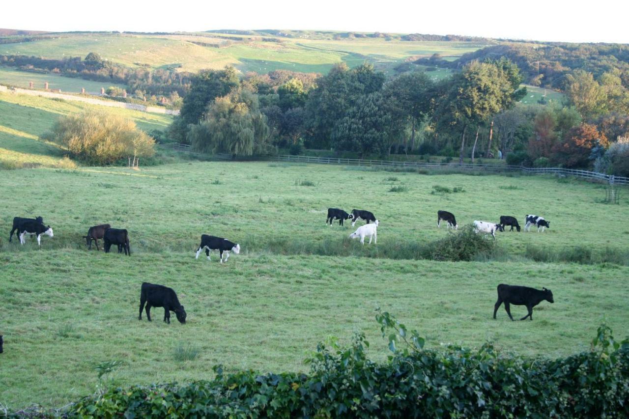 The Cottage Abbotsbury Esterno foto