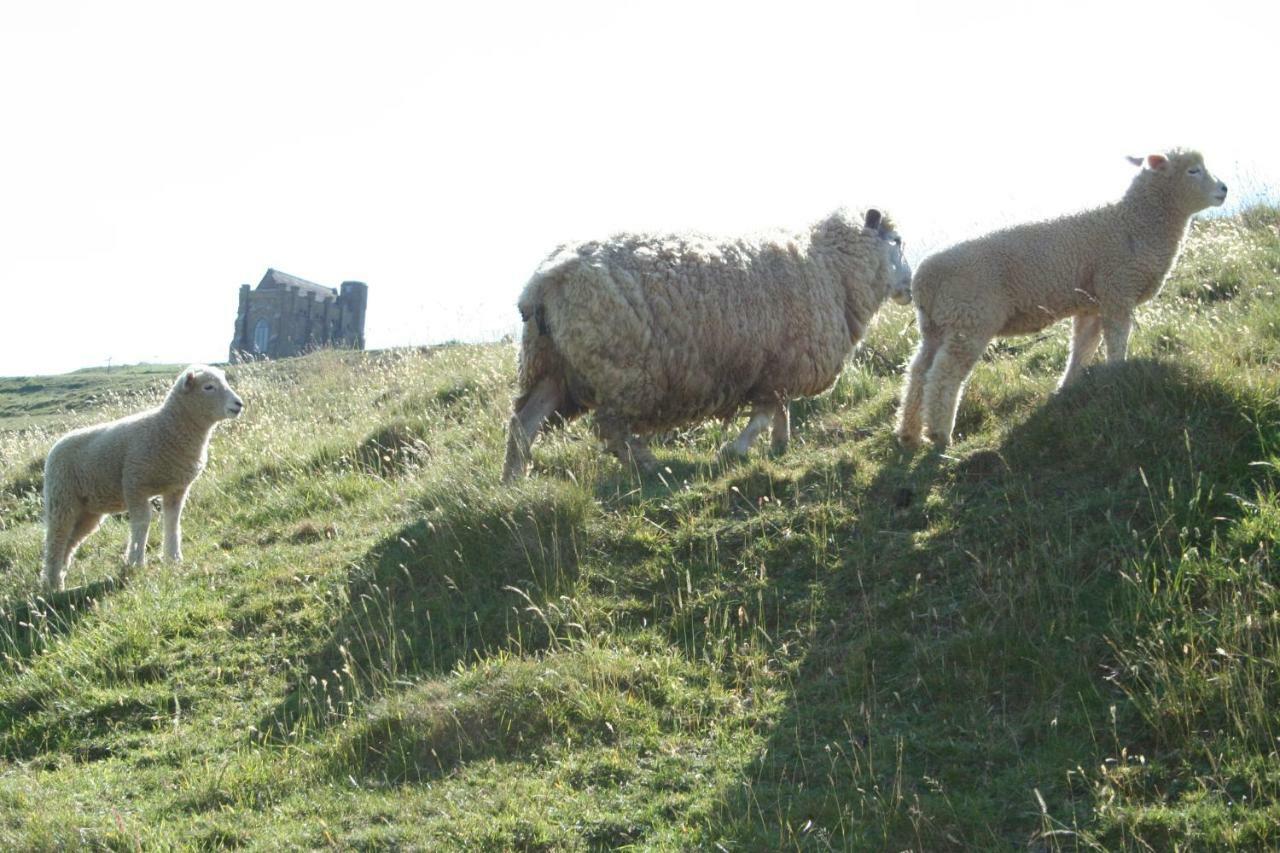 The Cottage Abbotsbury Esterno foto